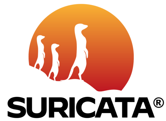 Suricata