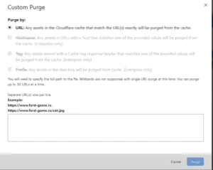 Purge Cache - Custom Purge