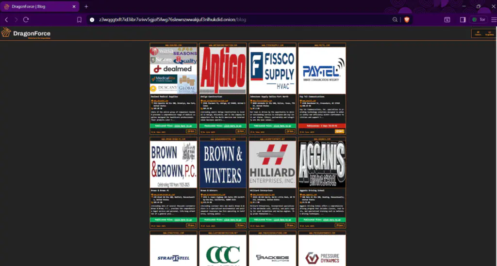 даркнет-портал "DragonLeaks"