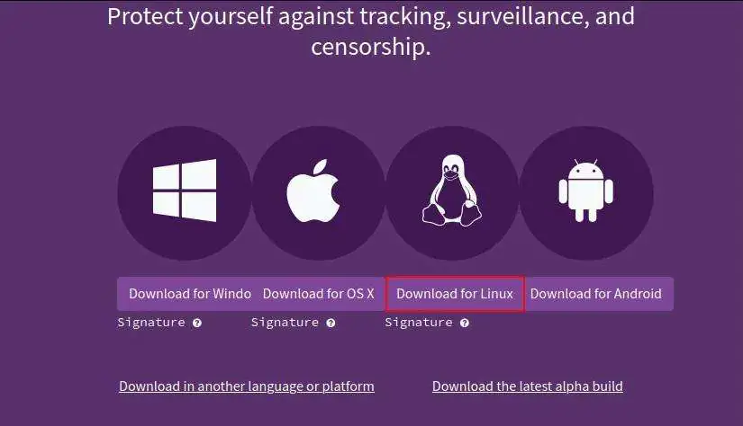 Tor Browser для Linux