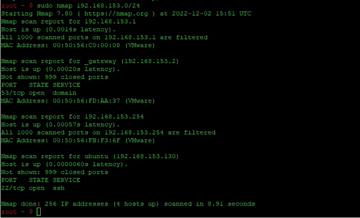 Быстрое сканирование хоста на наличие открытых портов