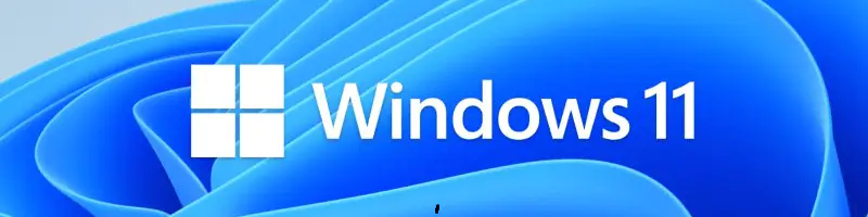 windows 11