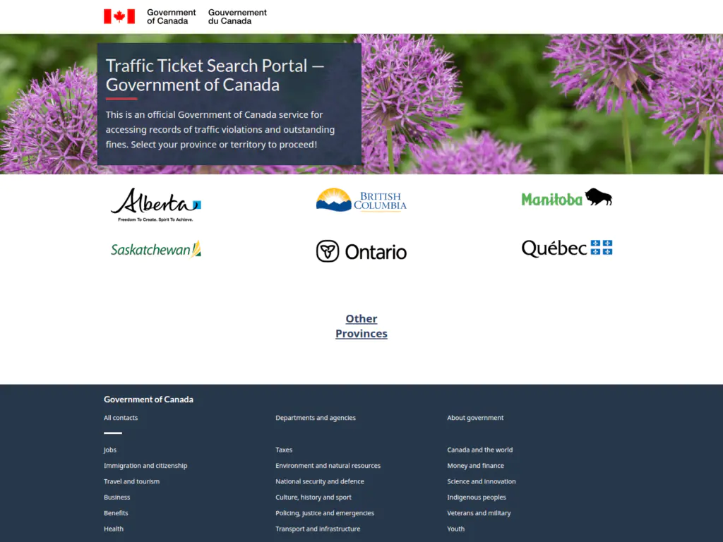 Поддельная веб-страница, имитирующая портал поиска штрафов за нарушение правил дорожного движения.