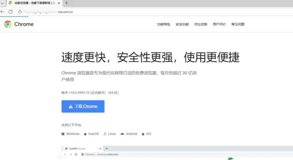 Поддельный сайт Chrome