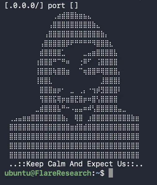 ASCII-графика, найденная в одном из файлов злоумышленника.