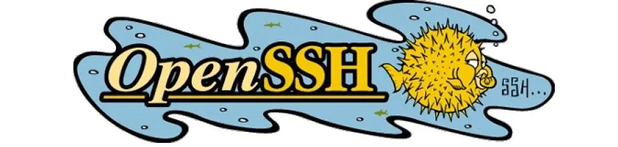 OpenSSH