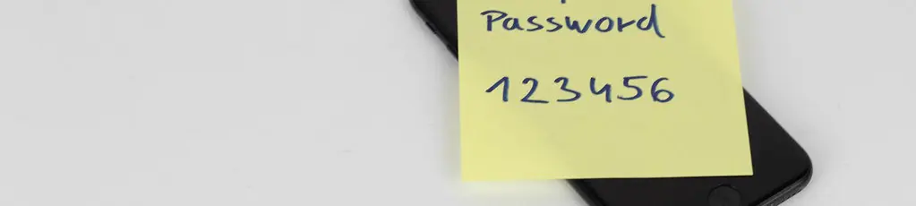 "123456" возглавляет рейтинг самых слабых паролей седьмой год подряд: