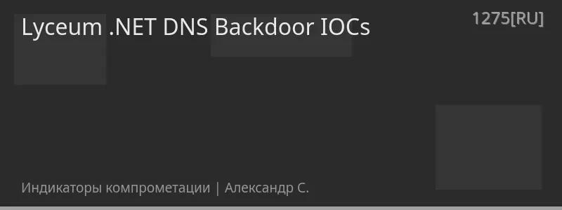 Lyceum .NET DNS Backdoor IOCs